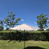 Khaki Garden Parasol - Patio Umbrella Khaki Garden Parasol - Patio Umbrella - BE Furniture Sales