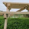 Wooden Picnic Bench